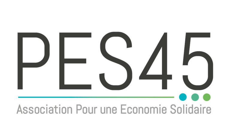 PES 45 logo